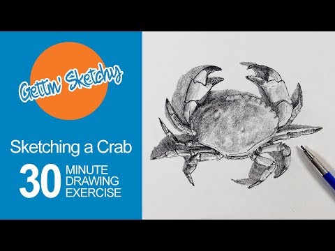 How to Sketch a Crab - Live Drawing Exercise