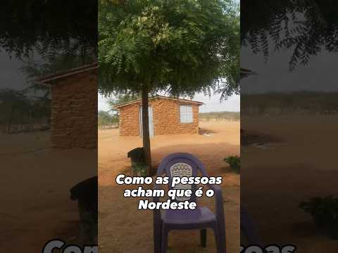 Como as pessoas acham que é o nordeste |Dia do Nordestino #nordestino