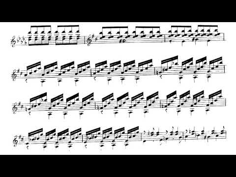 Fernando Sor - Gran Solo, Op.14 for Guitar (Score Video)