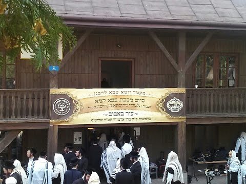 Bobover Rebbe Shlita (45) In Town Bobov Poland