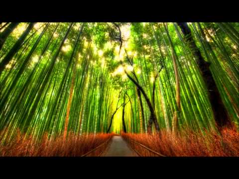 Tip D'Oris - Night Kisses (Original Mix)