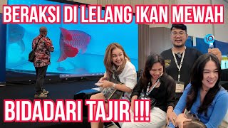 VIRAL‼️REBUTAN IKAN MEWAH SAMA CICI PEMERSATU BANGSA DI ACARA LELANG PAMERAN TERBESAR DI DUNIA