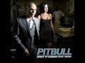 Pitbull Feat Akon - Shut It Down ( LoveStory Radio Edit ...