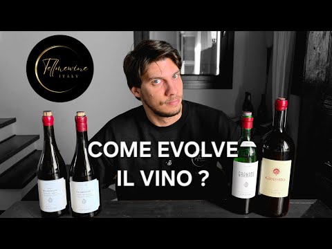EVOLUZIONE DI UN VINO NEGLI ANNI 🍷👀