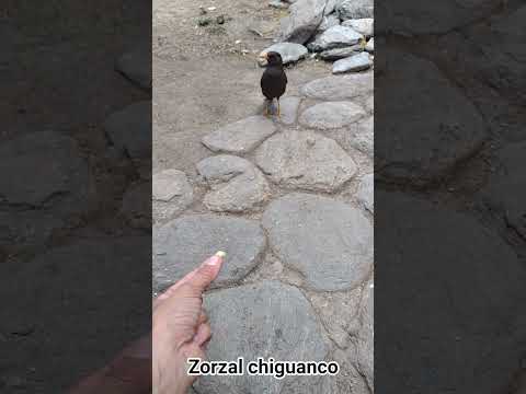 Los Molles.San Luis.Argentina.