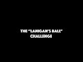Gaelic Storm - Fan Lanigan's Ball Challenge