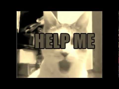 The omg cat !!!!    Usher-omg feat will.i.am