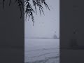 HEAVY SNOWFALL Live Snowflakes Falling From Sky Snowfall In India Kishtwar Shorts