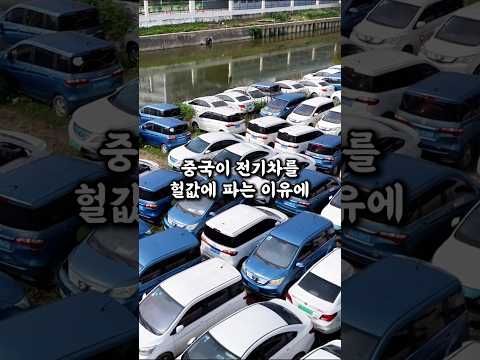 중국이 전기차를 헐값에 파는 소름 돋는 이유
