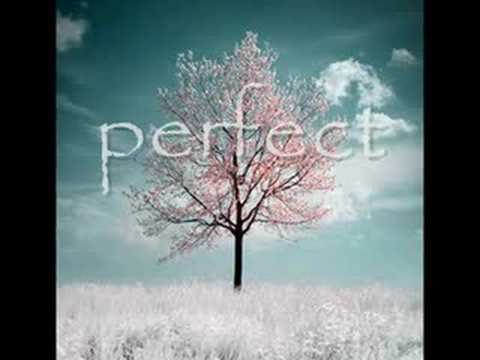 Markus Schulz feat. Dauby - Perfect