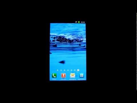 Waves on Shells Live Wallpaper Video