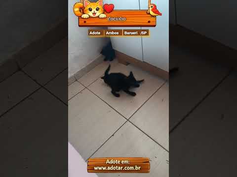 Vídeo de docinho
