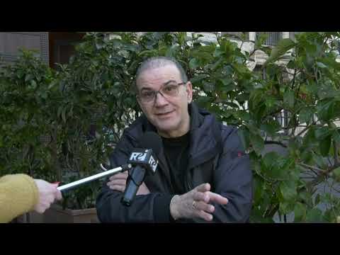 “Povero gabbiano”, nuovo tormentone di tik tok