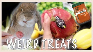 WEIRD TREATS to Feed Your Rabbit