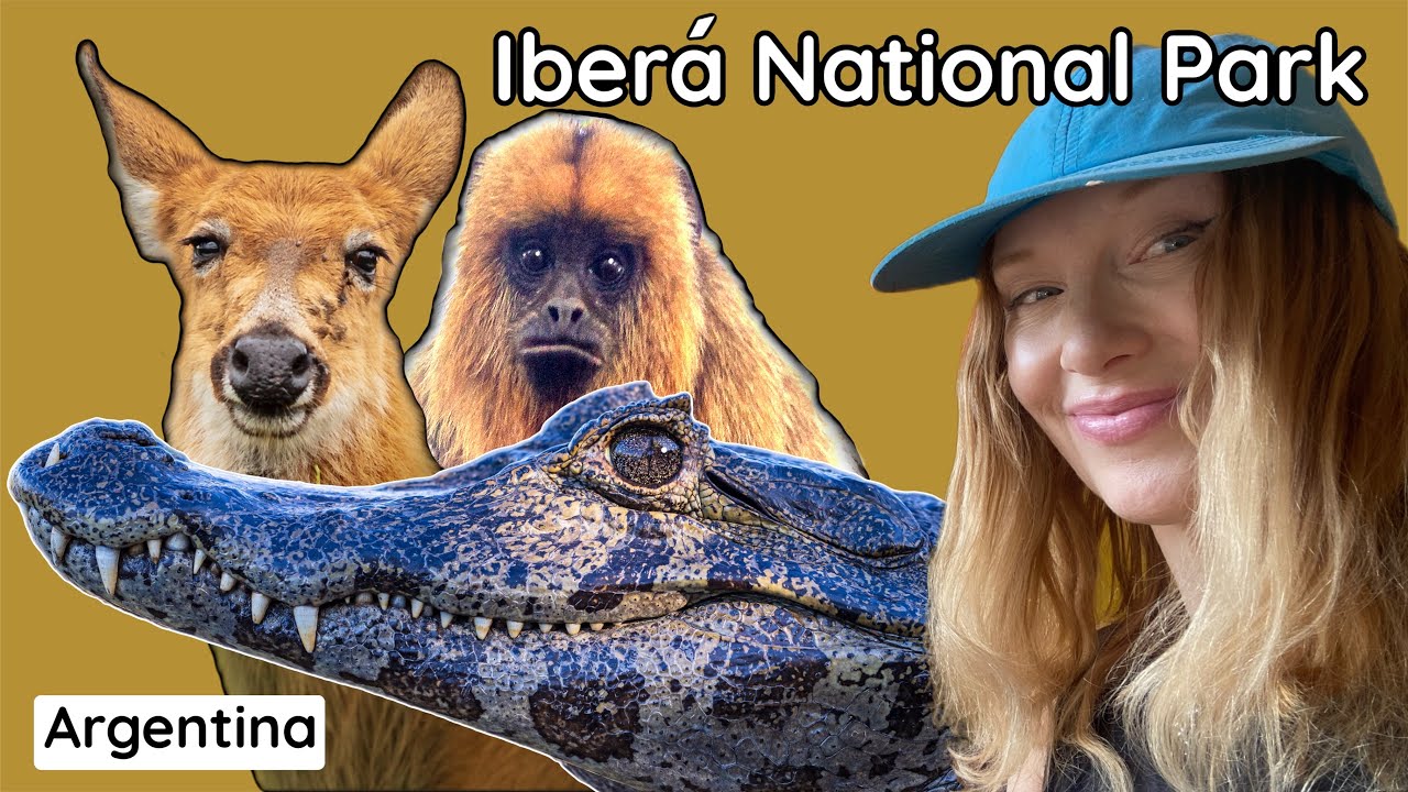 Ibera Wetlands, Argentine: Four Ways To Explore the National Park.