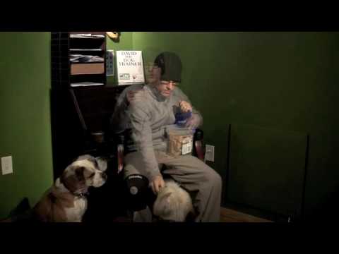 David the Dog Trainer's Anti Counter Surf Part 1