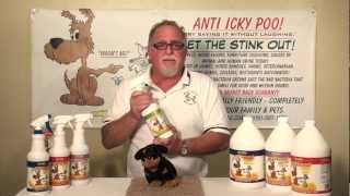 Anti Icky Poo Odor and Stain Remover