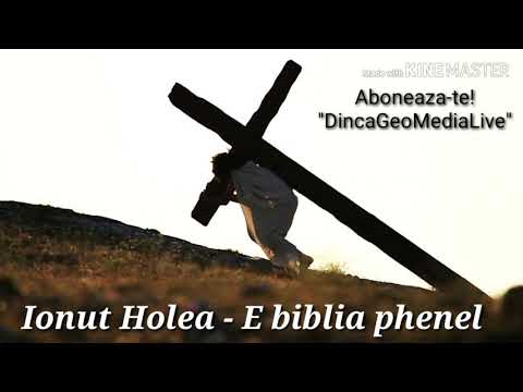 Ionut Holea - E biblia phenel