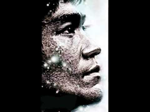 Kung Fu.Yip man.BruceLee/maestro