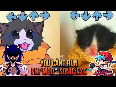 YouCantRun BUT Towel Cat VS ANIMATED TOWEL Cat? - FNF Animation Sonic.exe Mod