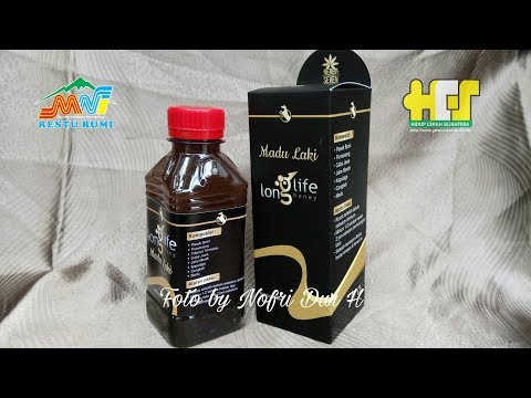 Penis dalam botol kecil Dapatkah saya mengambil pil untuk potensi alkohol