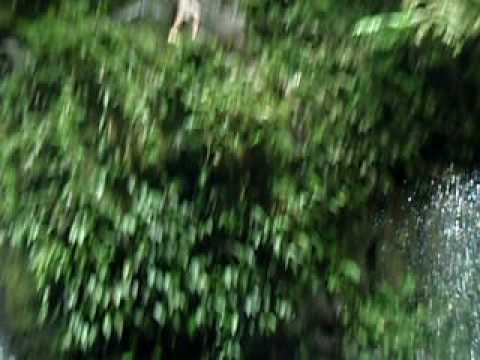 Big Wave Surfing - cross training