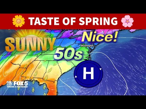DC weather: Taste of spring with mild temperatures