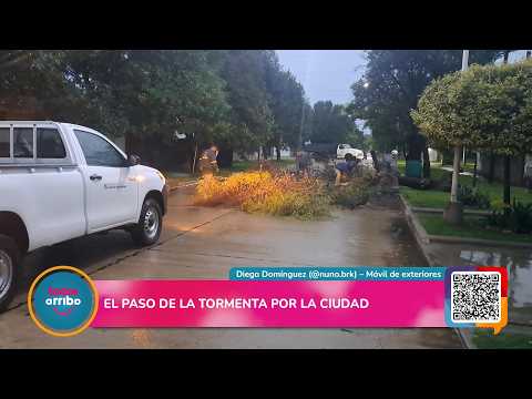 CONSECUENCIAS DE LA TORMENTA EN BRINKMANN: CAÍDA DE ÁRBOLES