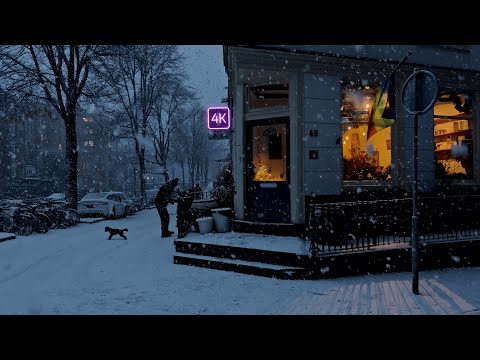 Amsterdam in Winter Snow | Rare Snowfall Walk Through the UNESCO Canal Area, 4K