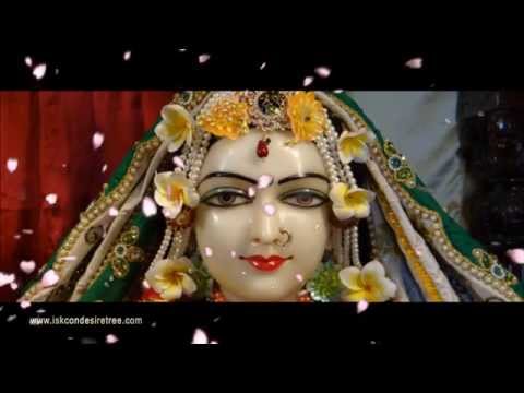 Rukmini Dvadashi Meditations !!!