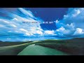 The Bottle Rockets - Blue Sky [FULL ALBUM]
