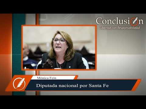 Fein: Habrá reunión en Rosario, Santa Fe es una de las provincias que más familias afectadas tuvo.