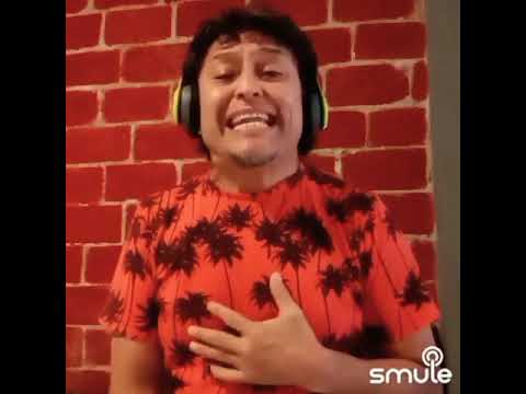 solitario/Los Pasteles verdes/Cover