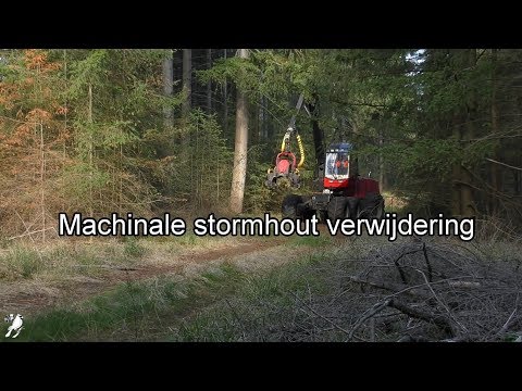 Machinale stormhout verwijdering