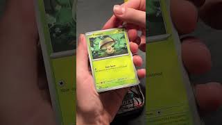 #pokemon #pokemoncards #pokemontcg #cards #gaming #myteamforscarletandviolet #pokemonchannel