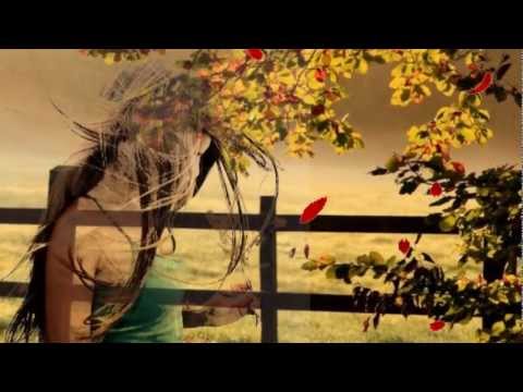 Honza Nedvěd - Korunka