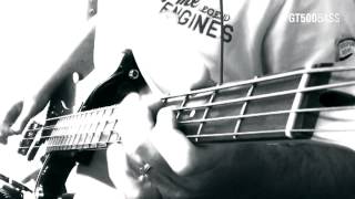 Bass Cover: The Sisters Of Mercy - Alice