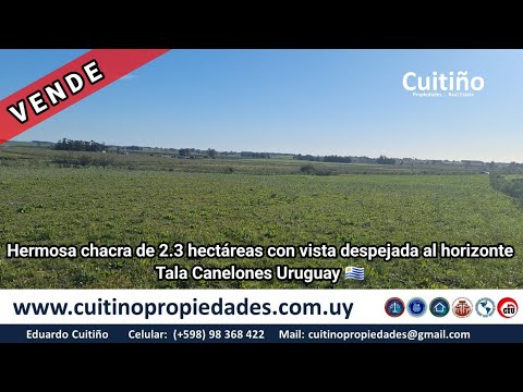 Hermosa chacra de 2.3 hectáreas con vista despejada al horizonte. Tala Canelones Uruguay 