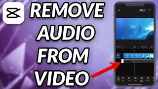 How To Remove Sound From A Video In CapCut