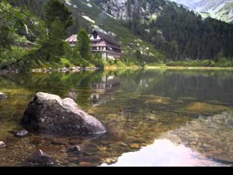 VESELIN VESA PAULJESKOVIC - MANDRUCA D VRODATA.