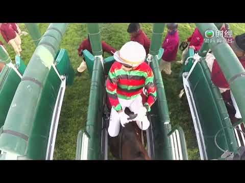 2023 H.H. The Amir Trophy (QG1) - Russian Emperor (將王) - A.Sanna