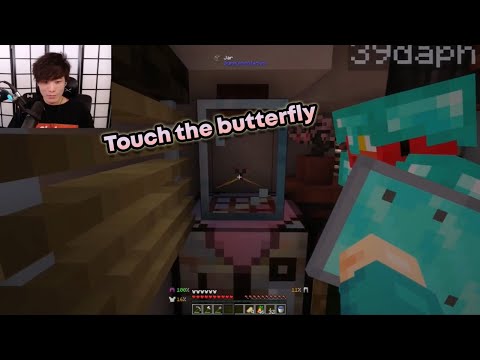 39daph trolls Sykkuno with a butterfly | Minecraft OTV SMP
