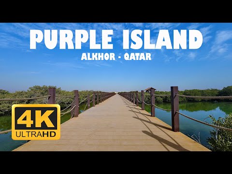 4K | Purple Island - Walk through mangroves - Qatar #purpleisland #mangrove #qatar #visitqatar