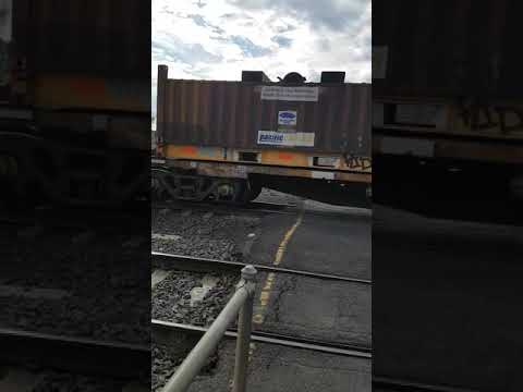 Pacific national Steele train