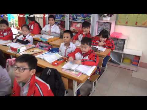 Các cô chấm trang trí lớp