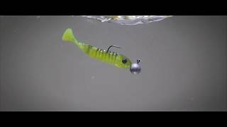 Delalande Skeleton 8cm Jungle