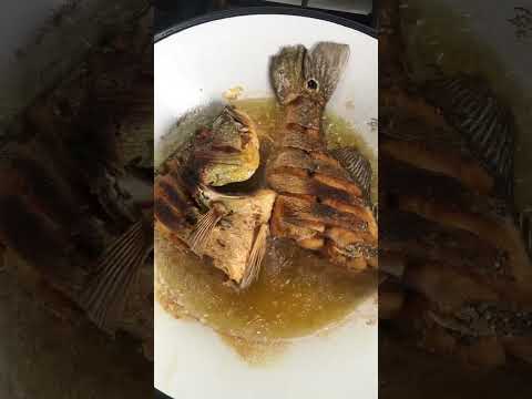 SABOR DO PARÁ #jacundá #para #peixefrito #peixes #natureza #pesca #shorts