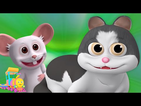 Meow Meow Billi Karti, म्याऊं म्याऊं बिल्ली करती, Hindi Cartoon and Rhymes for Babies