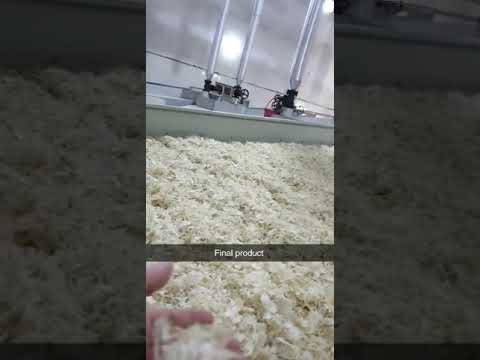 Dehydrated white onion powder, packaging size: 25 kg