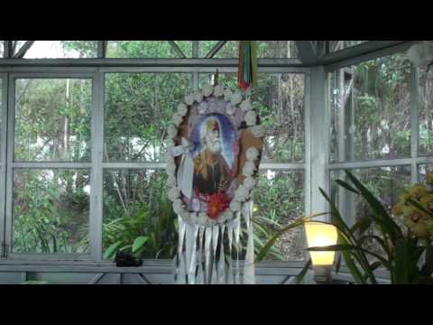 PROPÓSITO - FLOR DE JAGUBE - SÃO PEDRO 2017